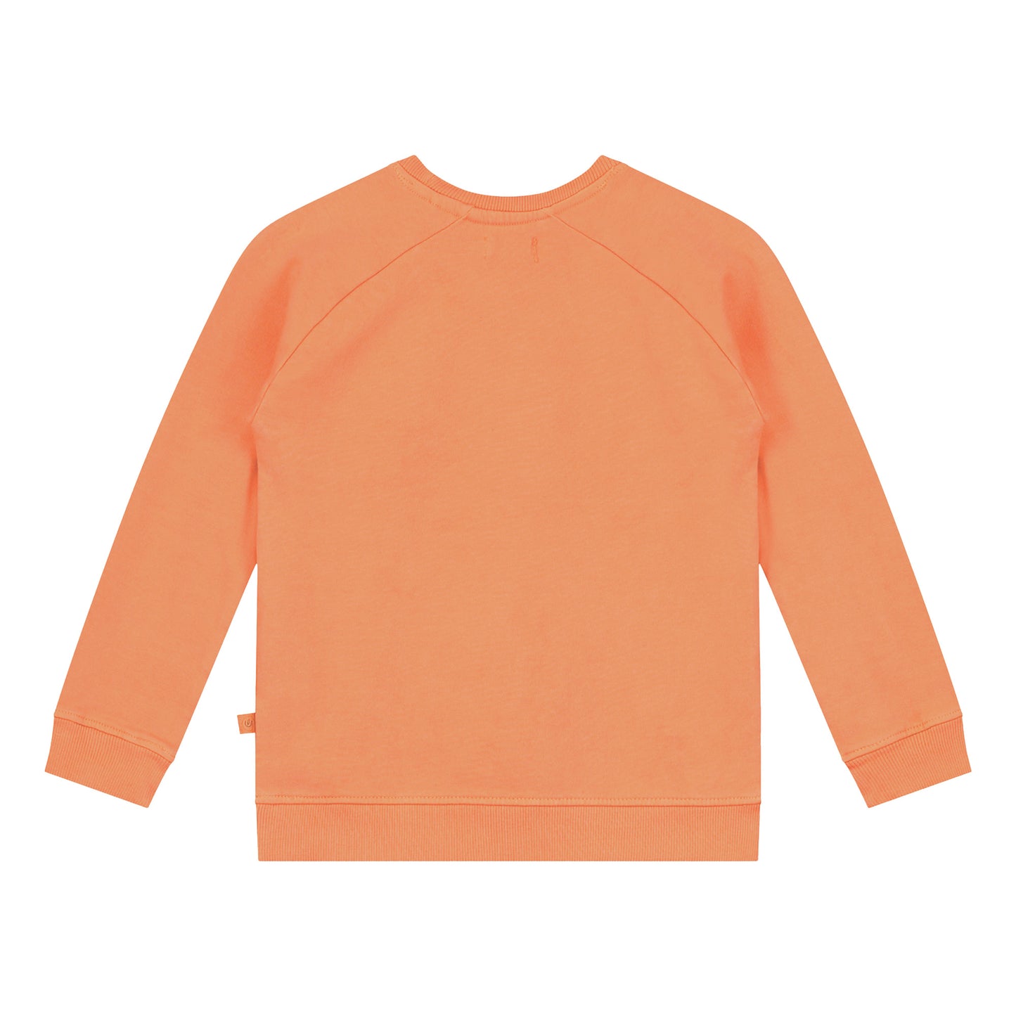 Kayak Print Sweatshirt