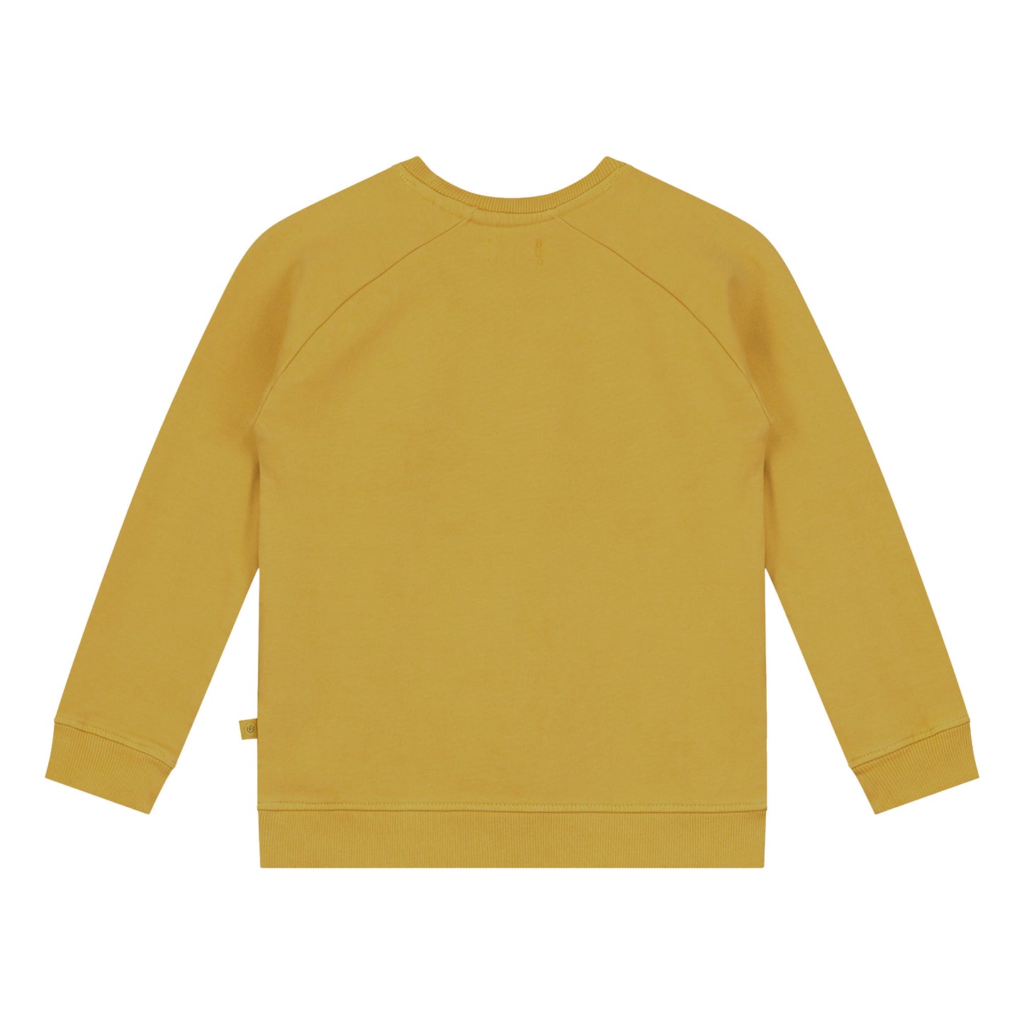Sweatshirt met continentring