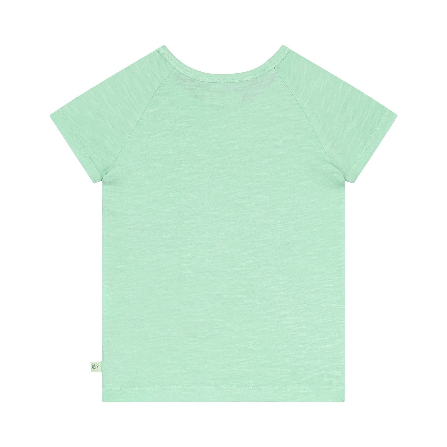 Safari zebra guide short sleeve green T-shirt