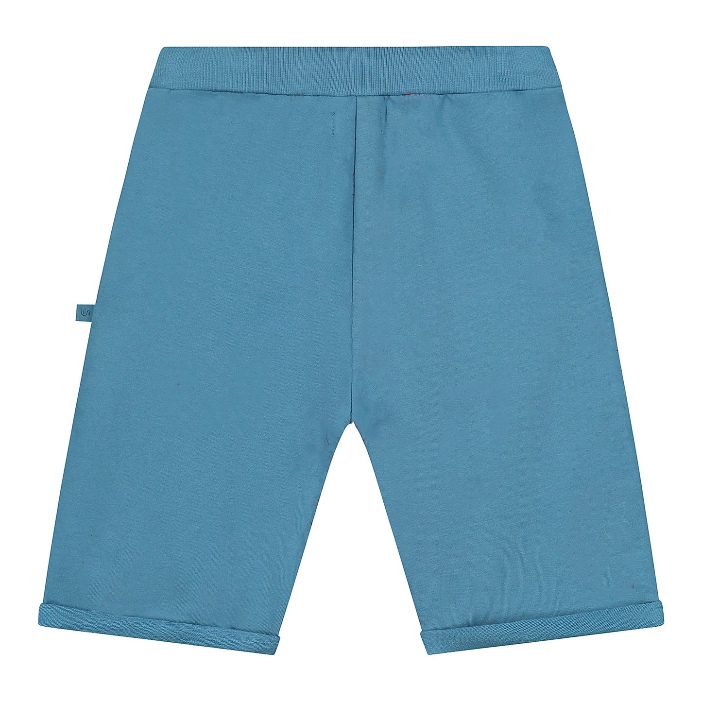 Surfplank geborduurde bermuda