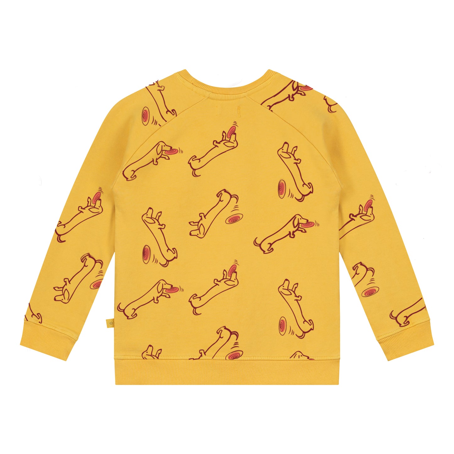 All Over Dachshund Billy at Beach print Unisex Pullover
