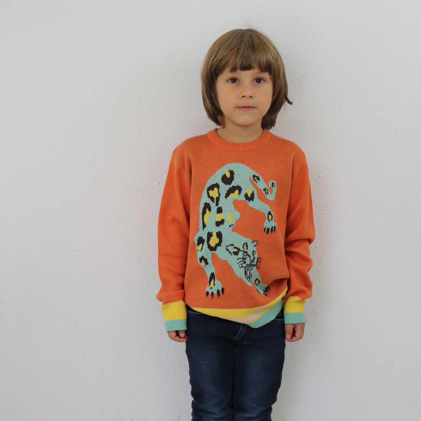 Jaquard Leopard Jumper
