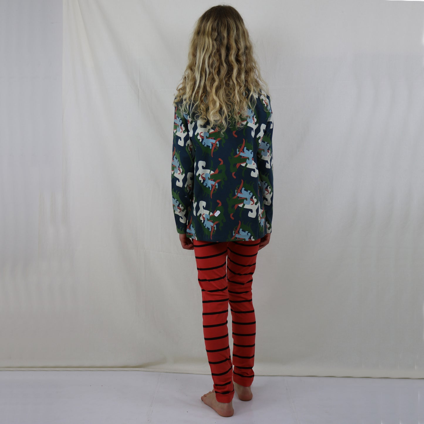 All Over Dino Print T-Shirt LS