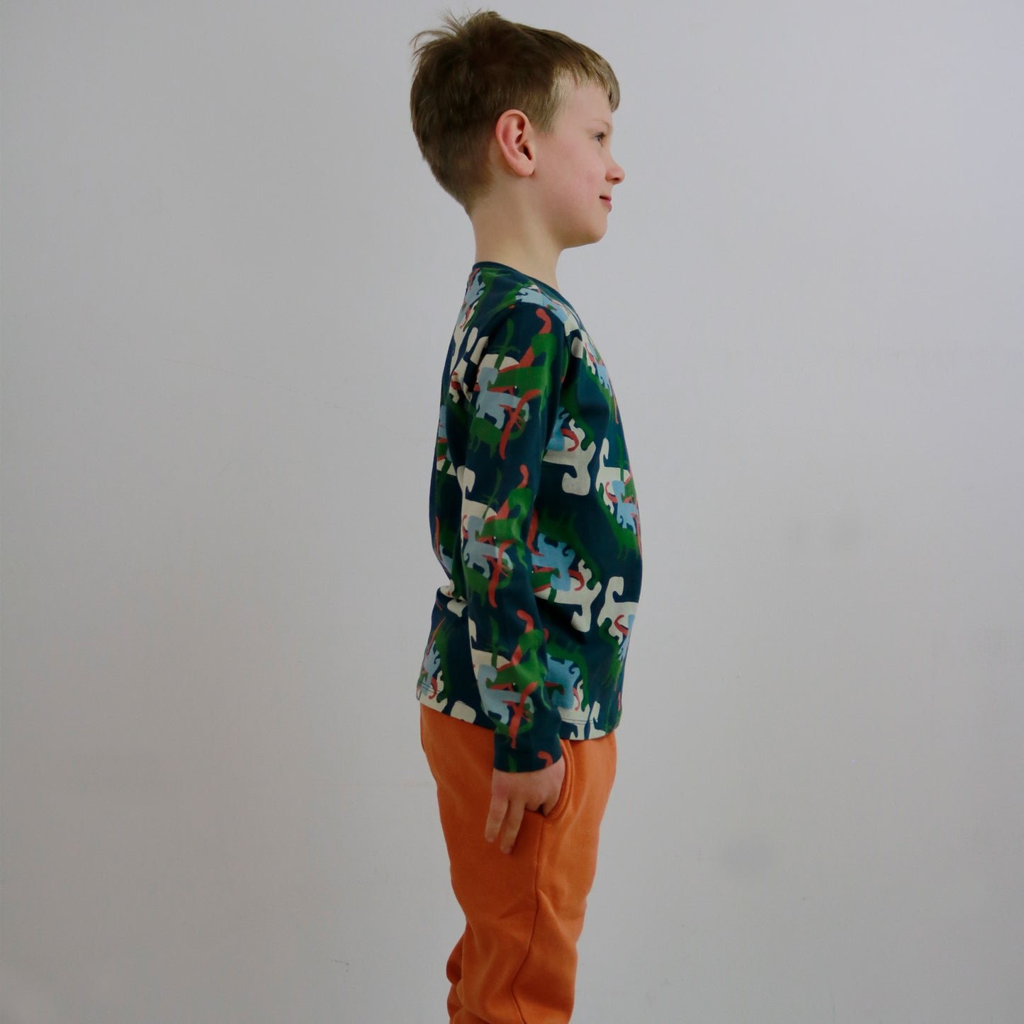 All Over Dino Print T-Shirt LS