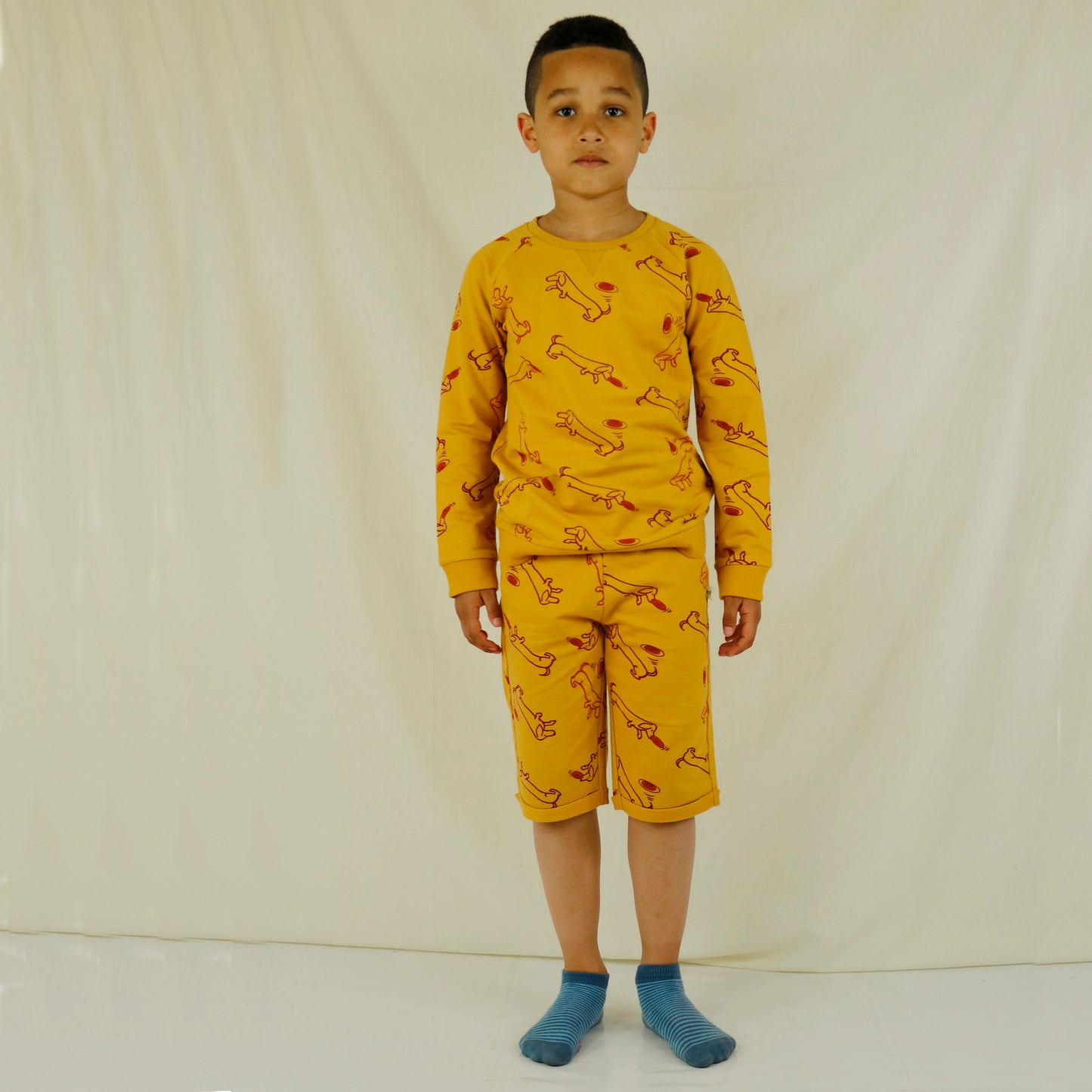 All Over Dachshund Billy at Beach print Unisex Pullover
