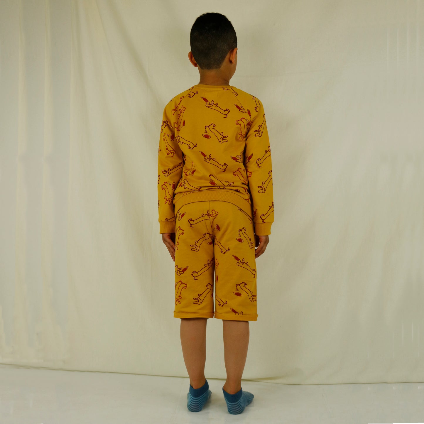 All Over Dachshund Billy at Beach print Unisex Pullover