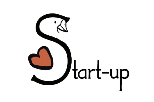 Startup support consultancy