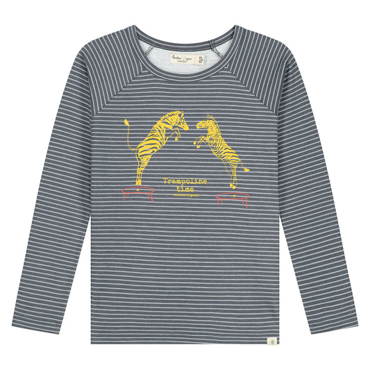 Zebra op trampoline print op bedrukt gestreept T-shirt LS