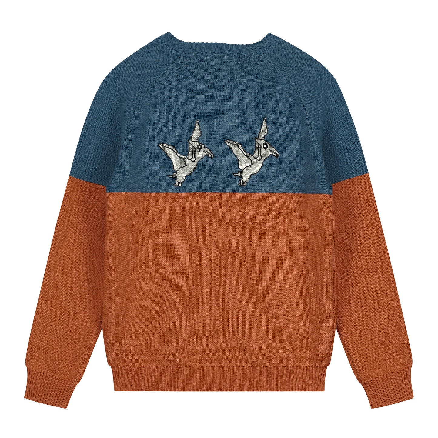 Pullover mit fliegenden Dinos aus Jaquard